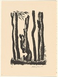 Title: Witchcliffe | Date: 1982 | Technique: lithograph, printed in black ink, from one stone