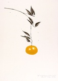 Artist: ROSE, David | Title: Mandarine picture print | Date: 1974 | Technique: screenprint, printed in colour, from multiple stencils