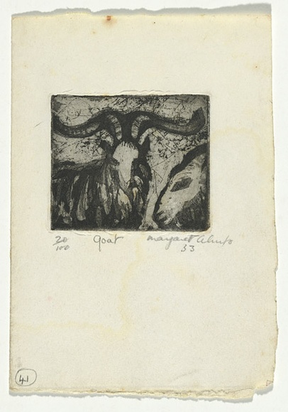 Artist: b'Cilento, Margaret.' | Title: b'Goat.' | Date: 1953 | Technique: b'etching, aquatint, printed in black ink with plate-tone, from one plate' Artist: b'Cilento, Margaret.' | Title: b'Goat.' | Date: 1953 | Technique: b'etching, aquatint, printed in black ink with plate-tone, from one plate'