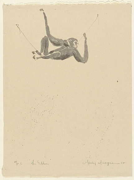 Artist: b'MACQUEEN, Mary' | Title: b'The gibbon' | Date: 1968 | Technique: b'lithograph, printed in colour, from two plates in grey and green ink' | Copyright: b'Courtesy Paulette Calhoun, for the estate of Mary Macqueen' Artist: b'MACQUEEN, Mary' | Title: b'The gibbon' | Date: 1968 | Technique: b'lithograph, printed in colour, from two plates in grey and green ink' | Copyright: b'Courtesy Paulette Calhoun, for the estate of Mary Macqueen'