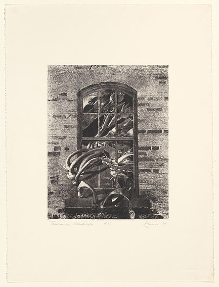 Artist: b'EWINS, Rod' | Title: b'Tasmanian Landscape.' | Date: 1997, September | Technique: b'photo-etching and aquatint, printed in black ink, from one plate' Artist: b'EWINS, Rod' | Title: b'Tasmanian Landscape.' | Date: 1997, September | Technique: b'photo-etching and aquatint, printed in black ink, from one plate'