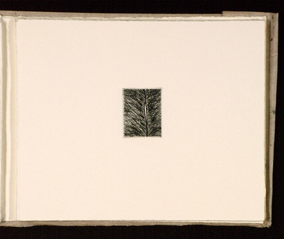 Artist: b'Mann, Gillian.' | Title: b'(Abstract form).' | Date: 1981 | Technique: b'etching, printed in black ink, from one plate' Artist: b'Mann, Gillian.' | Title: b'(Abstract form).' | Date: 1981 | Technique: b'etching, printed in black ink, from one plate'