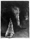 Artist: Weiss, Rosie. | Title: not titled | Date: 1985 | Technique: lithograph, printed in black ink, from one plate
