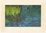 Artist: Newberry, Angela. | Title: Reflections. | Date: 1997 | Technique: screenprint, printed in colour, from multiple stencils