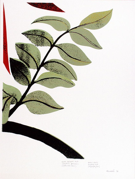 Artist: b'Newmarch, Ann.' | Title: b'Malu Karu (Sturt Desert Pea)' | Date: 1980 | Technique: b'screenprint, printed in colour, from multiple stencils' Artist: b'Newmarch, Ann.' | Title: b'Malu Karu (Sturt Desert Pea)' | Date: 1980 | Technique: b'screenprint, printed in colour, from multiple stencils'