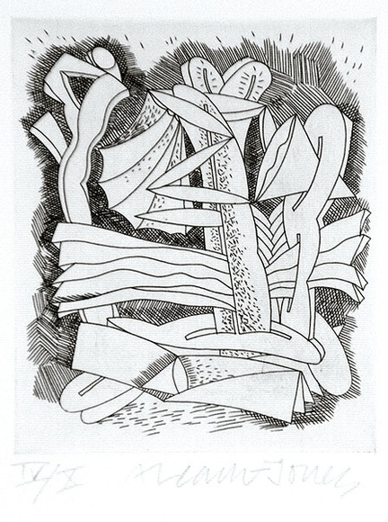 Artist: b'LEACH-JONES, Alun' | Title: b'not titled' | Date: 1987 | Technique: b'hardground etching, printed in black ink, from one zinc plate' | Copyright: b'Courtesy of the artist'