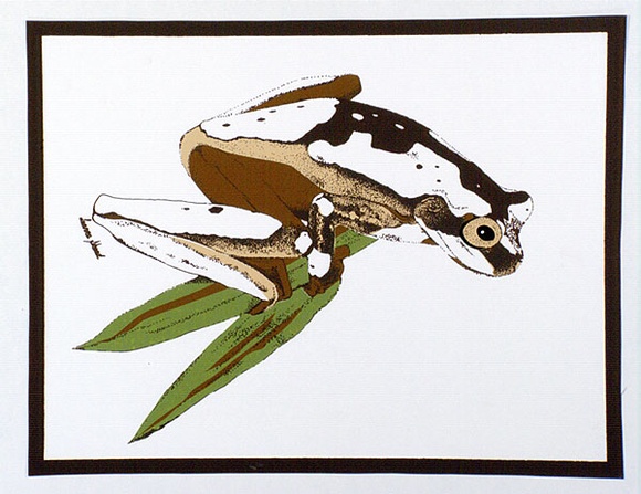 Artist: b'Shead, Leanne.' | Title: b'(The frog) (student work)' | Date: 1978 | Technique: b'screenprint, printed in colour, from four stencils' Artist: b'Shead, Leanne.' | Title: b'(The frog) (student work)' | Date: 1978 | Technique: b'screenprint, printed in colour, from four stencils'
