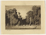 Artist: LINDSAY, Lionel | Title: The timber belt | Date: 1919 | Technique: etching, printed in brown ink with plate-tone, from one plate | Copyright: Courtesy of the National Library of Australia