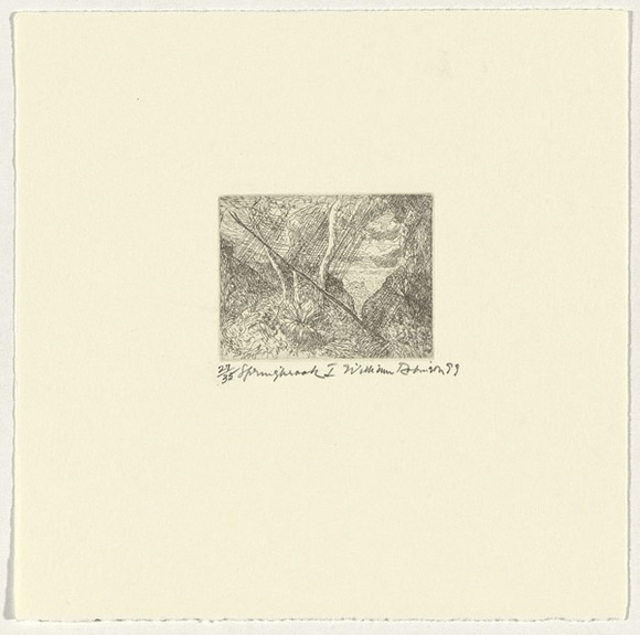 Artist: b'Robinson, William.' | Title: b'Springbrook 1' | Date: 1999 | Technique: b'etching, printed in brown ink, from one plate' Artist: b'Robinson, William.' | Title: b'Springbrook 1' | Date: 1999 | Technique: b'etching, printed in brown ink, from one plate'