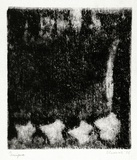 Artist: SHEARER, Mitzi | Title: Variation on a theme | Date: 1978 | Technique: etching, printed in black ink, from one  plate