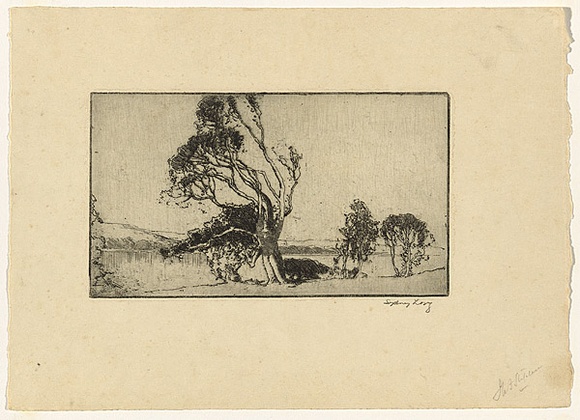 Artist: b'Long, Sydney.' | Title: b'Ti-tree, Avoca' | Date: 1928, before | Technique: b'line-etching, drypoint, printed in black ink from one zinc plate' | Copyright: b'Reproduced with the kind permission of the Ophthalmic Research Institute of Australia'