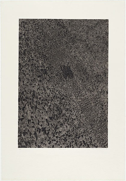Artist: b'MADDOCK, Bea' | Title: b'Shadow' | Date: 1973 | Technique: b'photo-etching, engraving and aquatint, printed in black ink, from one plate' Artist: b'MADDOCK, Bea' | Title: b'Shadow' | Date: 1973 | Technique: b'photo-etching, engraving and aquatint, printed in black ink, from one plate'