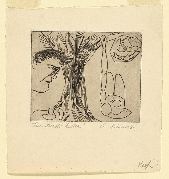 Artist: b'Wienholt, Anne.' | Title: bThe birds' nesters | Date: 1947 | Technique: b'line-engraving, printed in black ink with plate-tone, from one copper plate' Artist: b'Wienholt, Anne.' | Title: bThe birds' nesters | Date: 1947 | Technique: b'line-engraving, printed in black ink with plate-tone, from one copper plate'