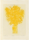 Artist: GRIFFITH, Pamela | Title: First of August, Wattle Day | Date: 1980 | Technique: sugar lift, soft ground and aquatint, printed in yellow ink, from one zinc plate | Copyright: © Pamela Griffith