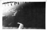 Artist: Hall, Judith. | Title: Postcard: (Duck beside a pond) | Date: 1985 | Technique: photo-offset-lithograph