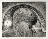 Artist: b'BOYD, Arthur' | Title: b'The Wolf of Gubbio with St Francis in a bent tree.' | Date: (1965) | Technique: b'lithograph, printed in black ink, from one plate' | Copyright: b'Reproduced with permission of Bundanon Trust'