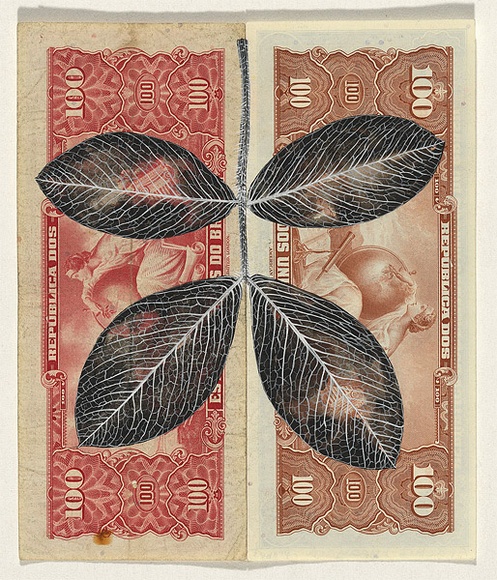 Artist: b'HALL, Fiona' | Title: b'Arachis hypogaea - Peanut (Brazilian currency)' | Date: 2000 - 2002 | Technique: b'gouache' | Copyright: b'\xc2\xa9 Fiona Hall' Artist: b'HALL, Fiona' | Title: b'Arachis hypogaea - Peanut (Brazilian currency)' | Date: 2000 - 2002 | Technique: b'gouache' | Copyright: b'\xc2\xa9 Fiona Hall'