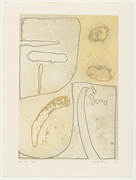 Artist: b'Schawel, Melinda.' | Title: b'Mist' | Date: 2000 | Technique: b'deep-bite etching, printed in colour with plate-tone, from two plates' Artist: b'Schawel, Melinda.' | Title: b'Mist' | Date: 2000 | Technique: b'deep-bite etching, printed in colour with plate-tone, from two plates'
