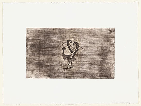 Artist: b'Crawford, Marian.' | Title: b'Lyre bird' | Date: 1994 | Technique: b'etching, printed in colour, from two plates; embossing' Artist: b'Crawford, Marian.' | Title: b'Lyre bird' | Date: 1994 | Technique: b'etching, printed in colour, from two plates; embossing'