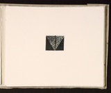 Artist: Mann, Gillian. | Title: (Triangle within a rectangle). | Date: 1981 | Technique: etching, printed in black ink, from one plate