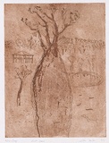 Artist: Forbes, Clem. | Title: Lost image. | Date: 1977 | Technique: etching and aquatint, printed in brown ink, from multiple plates