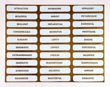 Artist: b'Hutchison, Noel' | Title: b'(Poster of many words)' | Technique: b'screenprint, printed in colour, from multiple stencils'