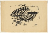 Title: Shell | Date: 1961 | Technique: screenprint, printed in black ink, from one stencil