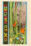 Artist: Gee, Angela. | Title: Don't Log the Rainforests. | Date: 1981 | Technique: screenprint, printed in colour, from eight stencils | Copyright: Courtesy of Angela Gee