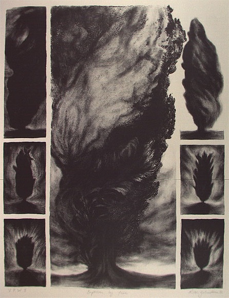 Artist: b'Johnstone, Ruth.' | Title: b'Baptism by fire' | Date: 1986 | Technique: b'lithograph, printed in black ink, from one stone' Artist: b'Johnstone, Ruth.' | Title: b'Baptism by fire' | Date: 1986 | Technique: b'lithograph, printed in black ink, from one stone'