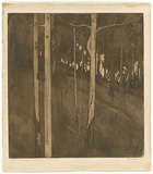 Artist: TRAILL, Jessie | Title: Good night in the gully where the white gums grow. | Date: 1922 | Technique: etching and aquatint, printed in brown ink, from one plate