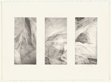Artist: b'Pilgrim, Catherine.' | Title: b'not titled [three fabric details]' | Date: 2001 October | Technique: b'lithograph, printed in black ink, from one stone'