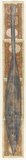Artist: HALL, Fiona | Title: Cordyline pumilio - Ti-rauriki (New Zealand currency) | Date: 2000 - 2002 | Technique: gouache | Copyright: © Fiona Hall