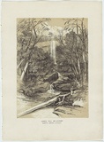 Artist: PROUT, John Skinner | Title: Lower fall, Willoughby, North Shore Sydney. | Date: 1842 | Technique: lithograph, printed in colour, from two stones (black and brown tint stone)