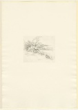 Artist: Lewitt, Vivienne. | Title: not titled | Date: 1988 | Technique: softground etching, printed in black ink, from one plate