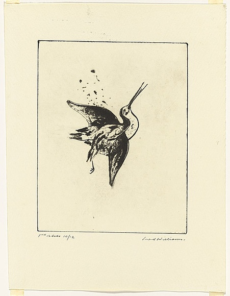 Artist: b'WILLIAMS, Fred' | Title: b'Shot snipe' | Date: 1974 | Technique: b'electric hand engraving, engraving and flat biting' | Copyright: b'\xc2\xa9 Fred Williams Estate' Artist: b'WILLIAMS, Fred' | Title: b'Shot snipe' | Date: 1974 | Technique: b'electric hand engraving, engraving and flat biting' | Copyright: b'\xc2\xa9 Fred Williams Estate'