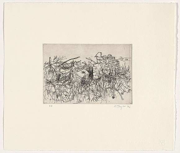 Artist: b'Taylor, Michael.' | Title: b'not titled [4]' | Date: 2006 | Technique: b'etching, printed in black ink, from one zinc plate' | Copyright: b'\xc2\xa9 Michael Taylor'