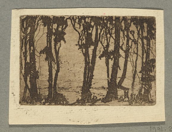 Artist: b'Coleman, Constance.' | Title: b'(Trees).' | Date: c.1944 | Technique: b'etching, printed in brown ink with plate-tone, from one plate' Artist: b'Coleman, Constance.' | Title: b'(Trees).' | Date: c.1944 | Technique: b'etching, printed in brown ink with plate-tone, from one plate'