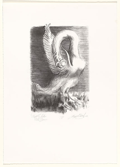 Artist: b'Tritton-Young, Maxienne.' | Title: b'Study for Leda and the swan' | Date: 1986 | Technique: b'lithograph, printed in black ink, from one stone' Artist: b'Tritton-Young, Maxienne.' | Title: b'Study for Leda and the swan' | Date: 1986 | Technique: b'lithograph, printed in black ink, from one stone'