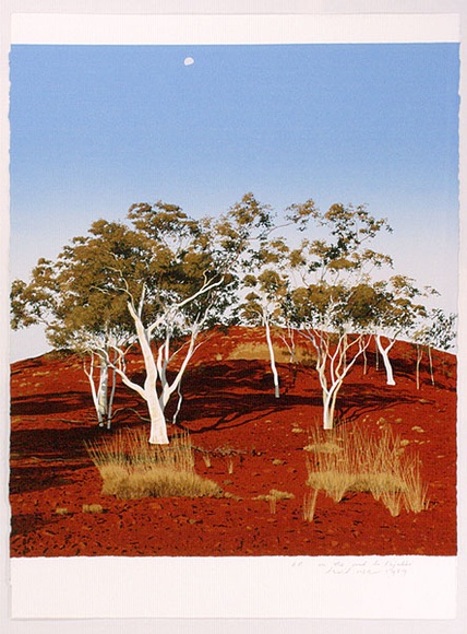 Artist: b'Rose, David.' | Title: b'On the road to Kajabbi' | Date: 1989 | Technique: b'screenprint, printed in colour, from multiple stencils'