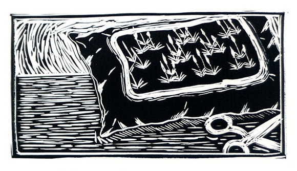 Artist: b'Warren, Louise.' | Title: b'(Still life with cushion)' | Date: (1987) | Technique: b'linocut, printed in black ink, from one block' Artist: b'Warren, Louise.' | Title: b'(Still life with cushion)' | Date: (1987) | Technique: b'linocut, printed in black ink, from one block'