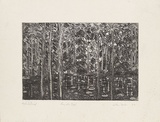 Artist: Forbes, Clem. | Title: Eunjella pool. | Date: 1977 | Technique: etching, printed in black ink, from one plate