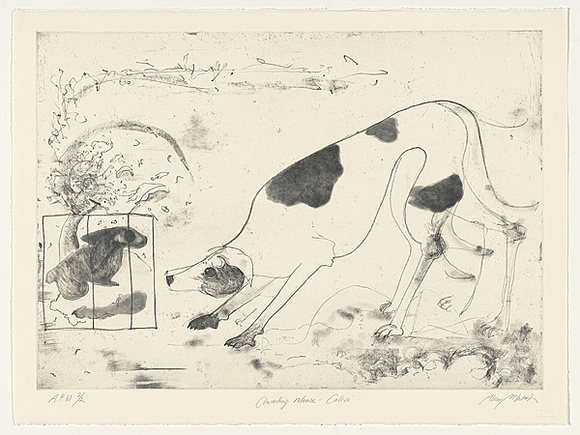 Artist: b'McIntosh, Alison.' | Title: b'Awaiting release - Calici' | Date: 1996, December | Technique: b'etching, printed in black ink, from one plate' Artist: b'McIntosh, Alison.' | Title: b'Awaiting release - Calici' | Date: 1996, December | Technique: b'etching, printed in black ink, from one plate'