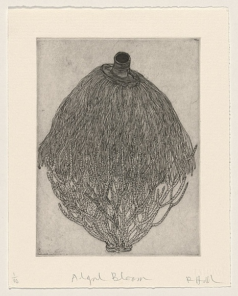 Artist: b'HALL, Fiona' | Title: b'Algal bloom' | Date: 1999 | Technique: b'etching, printed in black ink, from one plate' | Copyright: b'\xc2\xa9 Fiona Hall' Artist: b'HALL, Fiona' | Title: b'Algal bloom' | Date: 1999 | Technique: b'etching, printed in black ink, from one plate' | Copyright: b'\xc2\xa9 Fiona Hall'