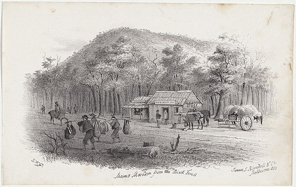Artist: b'GILL, S.T.' | Title: b'Mount Macedon from the Black Forest.' | Date: 1855-56 | Technique: b'lithograph, printed in black ink, from one stone' Artist: b'GILL, S.T.' | Title: b'Mount Macedon from the Black Forest.' | Date: 1855-56 | Technique: b'lithograph, printed in black ink, from one stone'