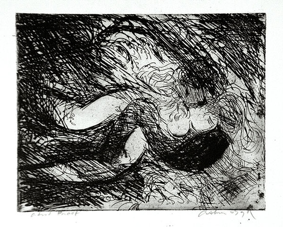 Artist: b'BOYD, Arthur' | Title: b'Lovers in a thicket.' | Date: (1962-63) | Technique: b'etching and aquatint, printed in black ink, from one plate' | Copyright: b'Reproduced with permission of Bundanon Trust' Artist: b'BOYD, Arthur' | Title: b'Lovers in a thicket.' | Date: (1962-63) | Technique: b'etching and aquatint, printed in black ink, from one plate' | Copyright: b'Reproduced with permission of Bundanon Trust'