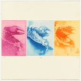 Artist: SCHMEISSER, Jorg | Title: 9. Colour etching | Date: 1984 | Technique: etching and aquatint, printed in colour, from three plates | Copyright: © Jörg Schmeisser