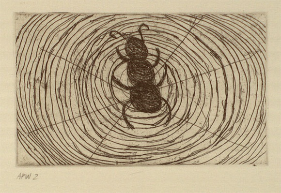 Artist: b'Jones, April.' | Title: b'Barndi (spider)' | Date: 1994, October - November | Technique: b'etching, printed in black ink, from one plate' Artist: b'Jones, April.' | Title: b'Barndi (spider)' | Date: 1994, October - November | Technique: b'etching, printed in black ink, from one plate'