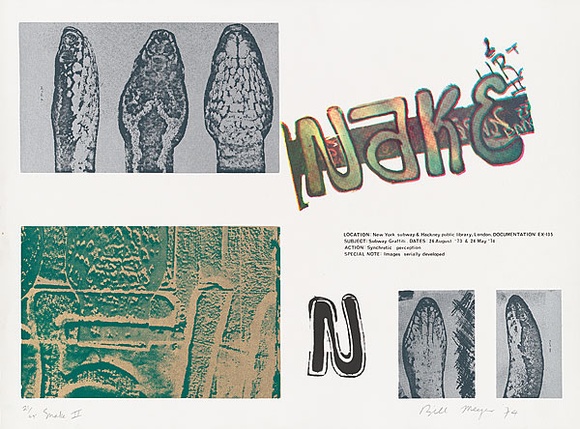 Artist: b'MEYER, Bill' | Title: b'Snake II' | Date: 1974 | Technique: b'screenprint, printed in colour, from eight screens' | Copyright: b'\xc2\xa9 Bill Meyer' Artist: b'MEYER, Bill' | Title: b'Snake II' | Date: 1974 | Technique: b'screenprint, printed in colour, from eight screens' | Copyright: b'\xc2\xa9 Bill Meyer'