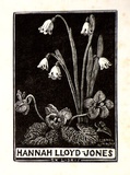 Artist: LINDSAY, Lionel | Title: Book plate: Hannah Lloyd-Jones | Date: 1942 | Technique: wood-engraving, printed in black ink, from one block | Copyright: Courtesy of the National Library of Australia