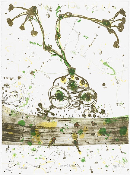 Artist: b'Olsen, John.' | Title: b'Frog at Kakadu' | Date: 1988 | Technique: b'lithograph, printed in colour, from three stones' | Copyright: b'\xc2\xa9 John Olsen. Licensed by VISCOPY, Australia' Artist: b'Olsen, John.' | Title: b'Frog at Kakadu' | Date: 1988 | Technique: b'lithograph, printed in colour, from three stones' | Copyright: b'\xc2\xa9 John Olsen. Licensed by VISCOPY, Australia'